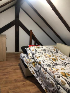 Apartament cu o camera